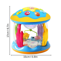 Muziekale Draaimolen - MuziekWonder