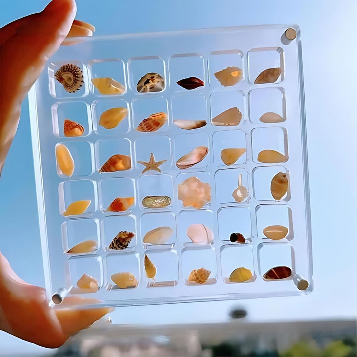 Acryl Vitrine voor Verzamelobjecten – ClearShell